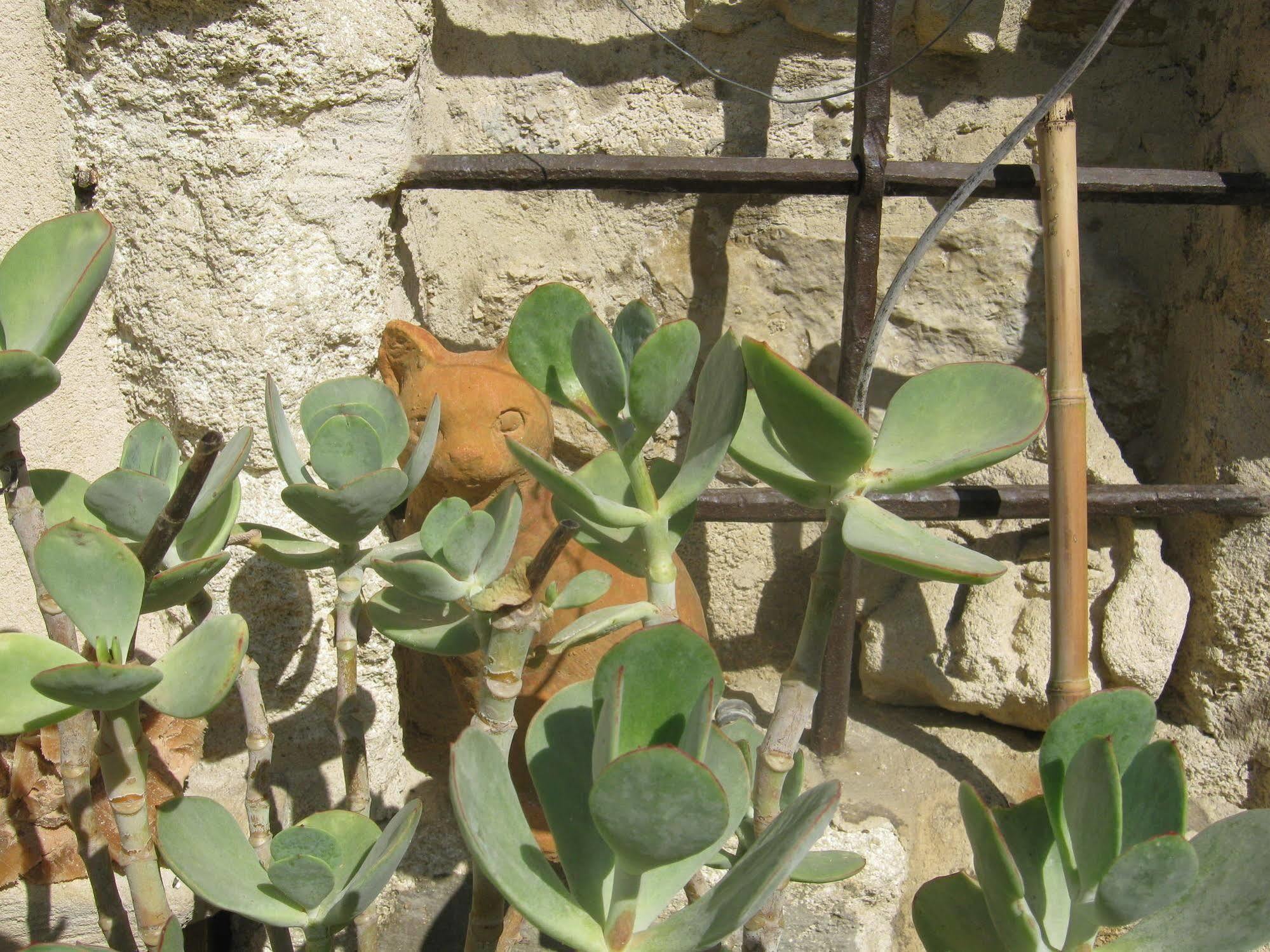 Bed & Breakfast Les Jardins De La Livree